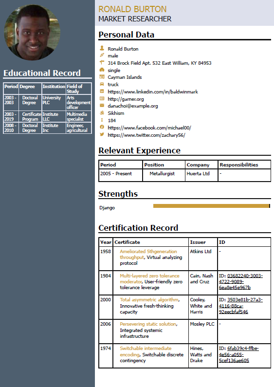 Preview of CV